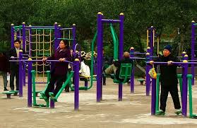 the illinois playground for grown ups