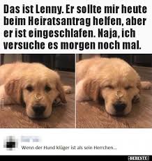 Das Ist Lenny Er Sollte Mir Heute Beim Heiratsantrag Lustige Bilder Witzige Bilder Spruche Lustig