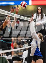 Ellyse Taylor's High School Career Home