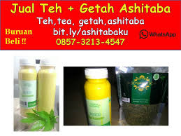 We did not find results for: 0857 3213 4547 Jual Getah Ashitaba Dan Jual Teh Ashitaba Di Salatiga Jawa Tengah 0857 3213 4547 Jual Getah Dan Teh Ashitaba Selederi Jepang