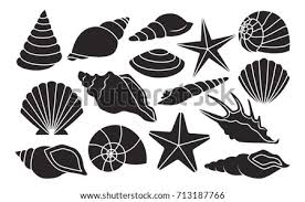A clipart shell coloring challenge. Conch Shell Clipart At Getdrawings Free Download