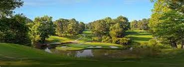 Listen to and download carolyn harding music on beatport. Va Tournament Wc Michigan Pga