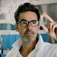 Tocopherol and Ascorbyl palmitate as prooxidants?