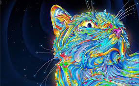 Get them for free for your iphone, android or desktop. Cool Cat Abstract 4k Wallpapers Desktop Background