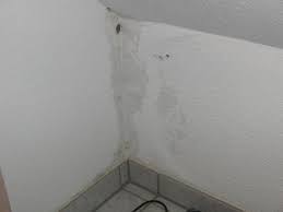 Nachhaltige sanierungen enthalten daher maßnahmen für die tatsächlichen auslöser. Handelt Es Sich Hierbei Um Schimmel Schwarzschimmel Wohnung Mietrecht Mietwohnung