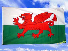 Die exakte form des drachen ist nicht standardisiert, sodass mehrere varianten bestehen. Flagge Fahne Wales 150 X 90 Cm Kaufen Bei Td Vermarktungs Gmbh