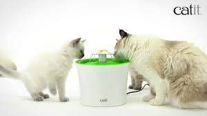 Catit Senses Flower Fountain Atakanpetshop Youtube