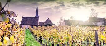 Já esteve em musee du vignoble et des vins d'alsace? Vignoble D Alsace Royaume Des Vins Blancs