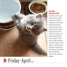 This item comes with premium moonlittree (c) presentbow (tm). 365 Cats Color Page A Day Calendar 2016 Workman Publishing 9780761182184 Amazon Com Books