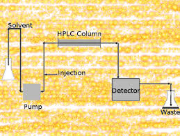 As the detector scan the chromatogram at different wavelength, no need to go for wavelength maxima determination of any solute in solution. What Is Hplc Education Chemistryviews