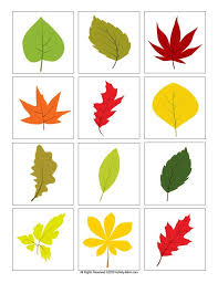 Show them the proper way how to color. Leaf Color Matching Printable The Activity Mom Printable Leaves Leaf Coloring Leaf Printables