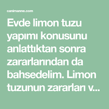 Evde Limon Tuzu Yapimi Nasil Olur 2020 Limon Tuz Karin Kasi Egzersizleri
