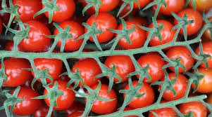 L Entreprise Cheritel A Ete Reconnue Coupable De Tromperie Tomates Denrees Alimentaires Fruits Et Legumes