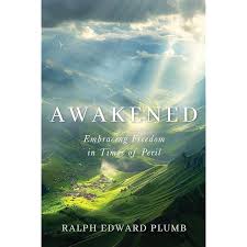 Holy Wells of Ireland: Sacred Realms and Popular Domains (Irish Culture,  Memory, Place): Ray, Celeste, McCormick, Finbar, Barron, Carol, Branigan,  Gary, Broderick, Eugene, Brownlee, Attracta, Cashman, Ray, Cassidy, Janet,  Chew, Hannah, Clarke,