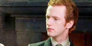 Harry Potter: A Complete Weasley Family Tree