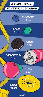 I was dialated to 1 1/2 and 50% effaced. Cervical Dilation What To Expect And How To Speed Things Up