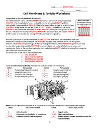 By the way, related with cell membrane coloring worksheet answer key, scroll down to see several variation of photos to add more info. Cell Membrane And Tonicity Worksheet Fill Online Printable Fillable Blank Pdffiller