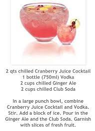 9fb8829f12d96c6a4ceaa0b493af04d1 Jpg 631 875 Punch Recipes Vodka Punch Vodka Punch Recipe