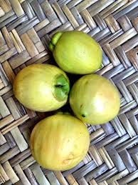 Here's all you need to know about this fruit! Tumblr