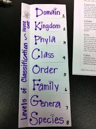 Animal Classification Foldable With Images Teaching Biology Life Science Middle School Biology Classroom