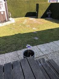Grundstuck Mit Blickdichter Hecke Schwimmbad Mit Sauna Garten Terrasse Mobilheim