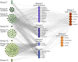 Image result for Blepharis acanthodioides