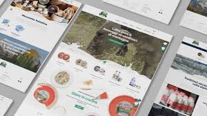 Sviluppiamo Per Il Web E Per La Tua Attivita Webtek S P A