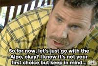 Television snl dogs GIF