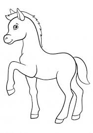 Find the best horse coloring pages for kids & for adults,. Horse Colt Baby Free Vector Eps Cdr Ai Svg Vector Illustration Graphic Art