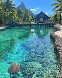 Bora Bora Island 9gag