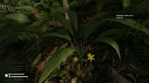 Image result for Molineria