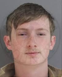 Lane Cheney's Instagram, Twitter & Facebook