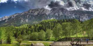 Situata la poalele muntilor piatra craiului, cabana popasul craiului va invita sa va delectati cu bucate traditionale si activitati menite sa va destinda trupul, mintea si sufletul. Teren Pentru Vanzare 1800 Mp ConstrucÈ›ii Civile Plaiul Foii Zarnesti Eminent Imobiliare