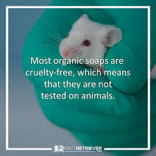 25 Clean Organic Soap Facts Organic Soap Organic Cleaning Products Soap