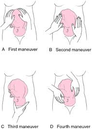 Leopold S Maneuvers Midwifery Midwifery Student Child Nursing