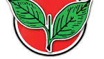 disqualified AIADMK MLAs hopes technicalities