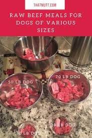 Raw Dog Food On A Budget Two Diy Raw Dog Food Recipes Dog Food Recipes Raw Dog Food Recipes Raw Feeding For Dogs