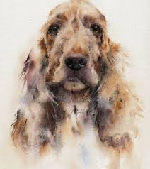 Cocker Spaniel In Watercolour By Artist Jane Davies Available To Purchase As An Limited Edition Print Watercolor Pet Portraits Watercolor Dog Dog Paintings