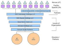 Nursing Home Organizational Chart Bedowntowndaytona Com