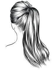 Hand Drawn Beauty Woman With Luxurious Classic Long Ponytail Hairstyle Idea For Business Card Typography Vector Ponytail Drawing How To Draw Hands Hair Sketch