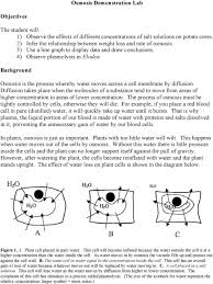 Some details of examples of osmotic action in individual animal or plant cell types. Osmosis Demonstration Lab Pdf Free Download