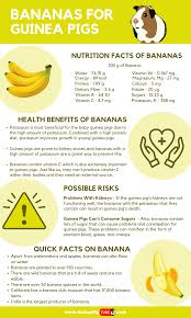 Pin On Nutritional Yeast Recipes