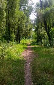 Path In The Woods Photographer And Location Unknown Cr Beautiful Landscapes Beautiful Nature Landscape