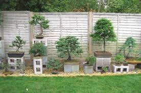 Love The Economic Idea For Bonsai Stands Regale Schalen Gefasse Et Al Bonsai Bonsai Baum Und Gartenentwurfe