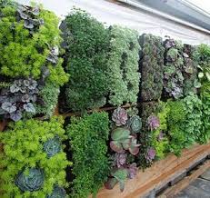 Earth Friendly Landscapes Two Upcoming Books To Look Out For Vertical Succulent Gardens Vertical Garden Vertical Vegetable Gardens
