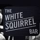 Jeff Ray: White Squirrel Bar w/Dan Schwartz and event image