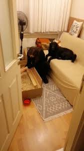 Murat K.s Video on X