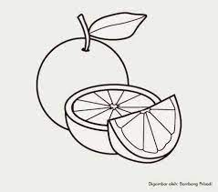 Dihalaman ini anda akan melihat gambar hitam putih mewarnai yang bagus! Mewarnai Gambar Buah Jeruk Hitam Putih Download Kumpulan Gambar