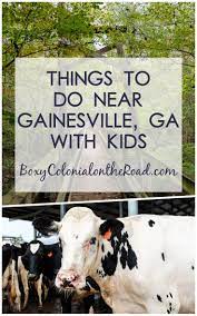 Things To Do With Kids In And Around Gainesville Ga Boxy Colonial On The Road Hot Travel Gainesville Georgia Vacation