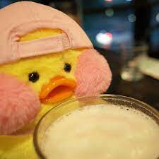 Pin On Funny Duck